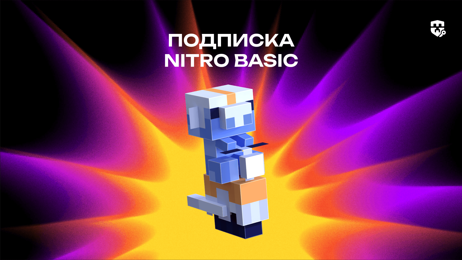 Подписка Nitro Basic на 1 месяц